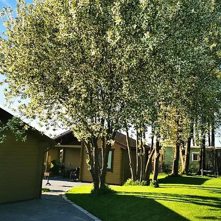 Baure Palanga