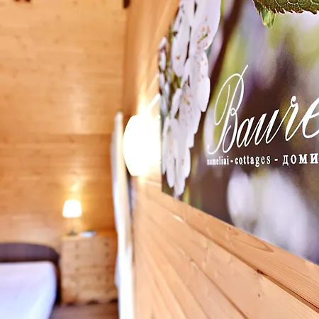 Baure Holiday home *
